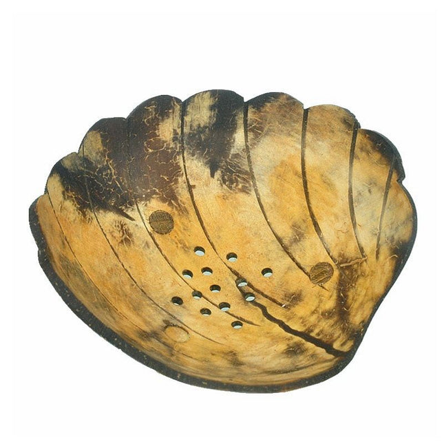 Portasapone a conchiglia in noce cocco.